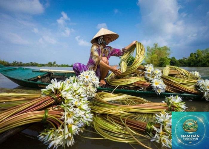 du lịch cà mau mùa mưa - Hình 1