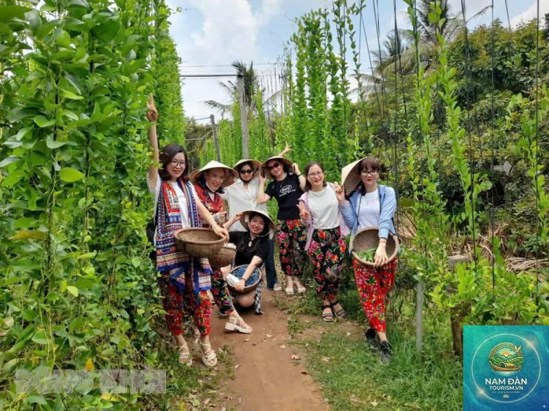 du lịch cộng đồng bến tre - Hình 4
