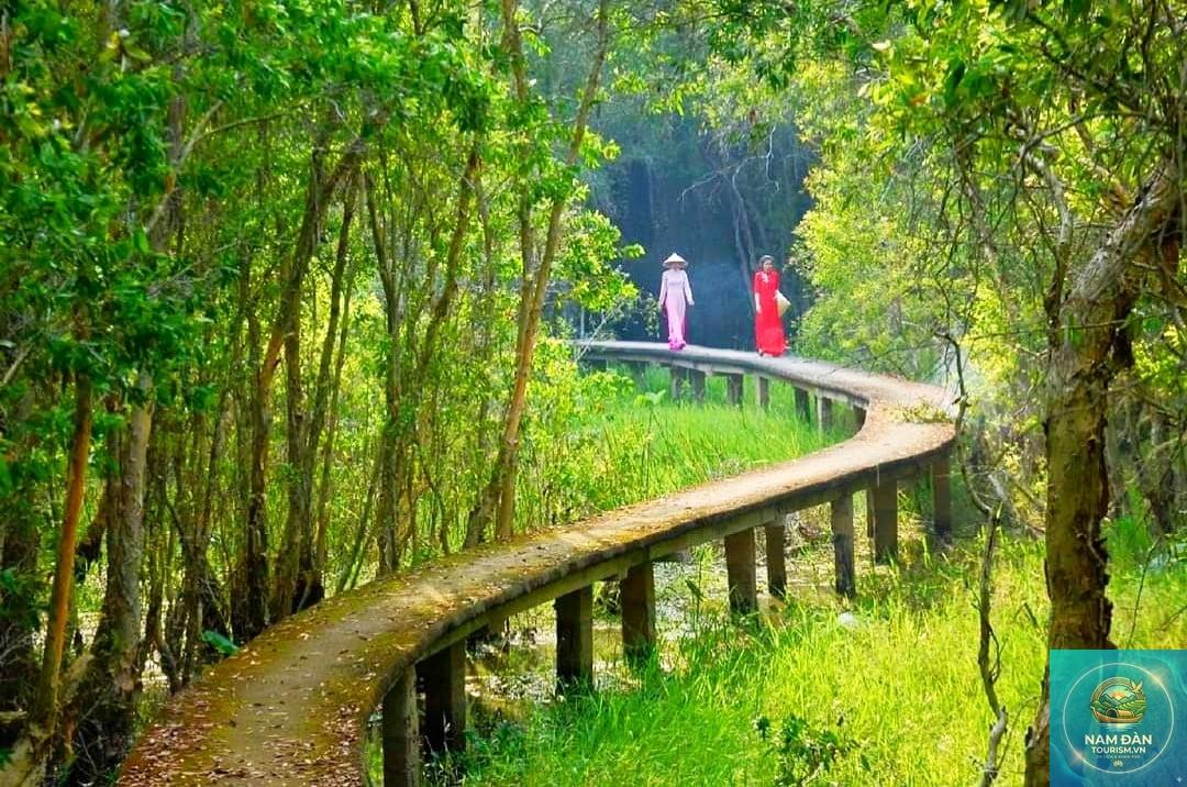 du lịch đồng tháp mười long an - Hình 5