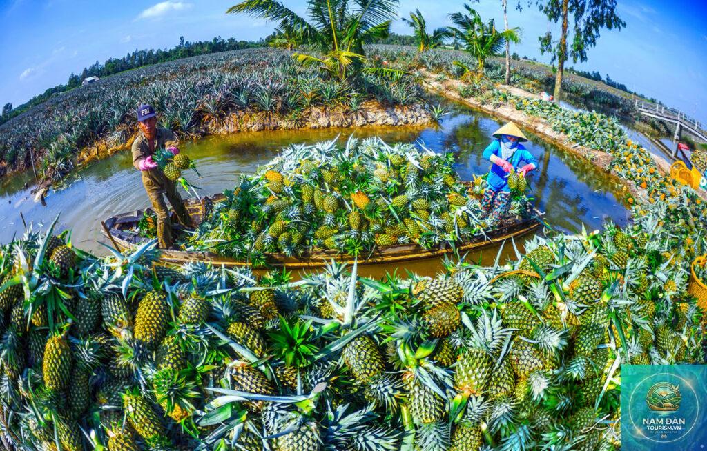 du lịch hậu giang từ tphcm