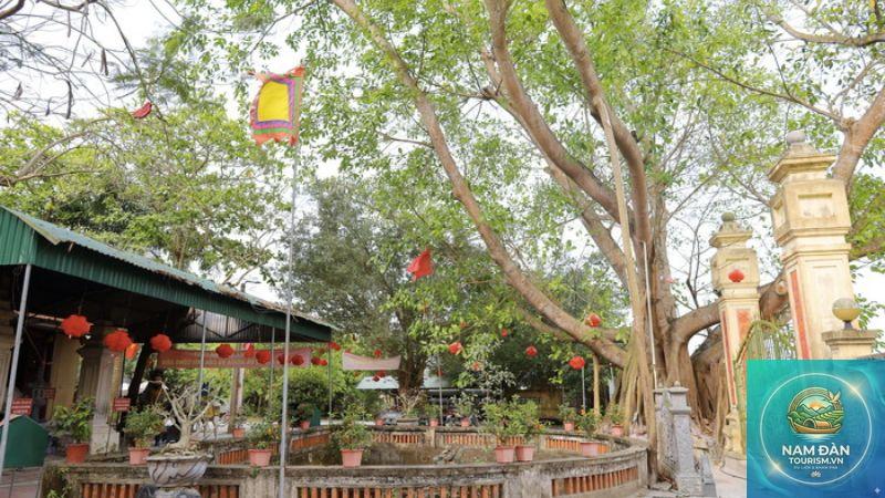 du lịch hưng nguyên nghệ an - Hình 5