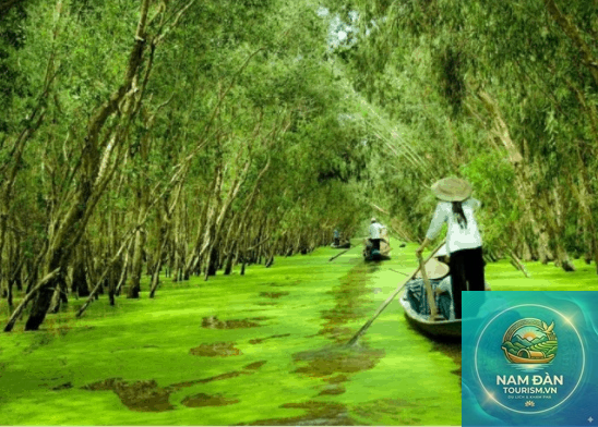 du lịch long an - Hình 5