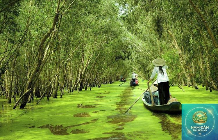 du lịch long an mùa nước nổi - Hình 4