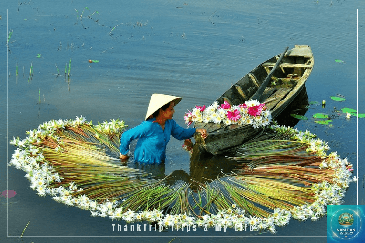 du lịch long an mùa nước nổi - Hình 5