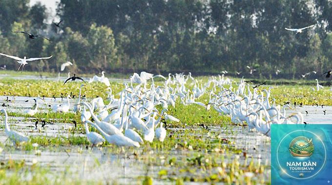 du lịch long an mùa nước nổi