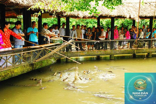 du lịch miệt vườn cần thơ - Hình 5