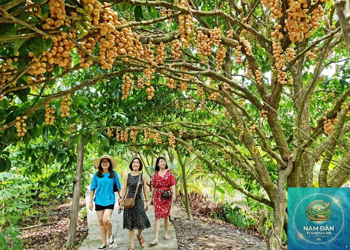 du lịch miệt vườn hậu giang - Hình 4