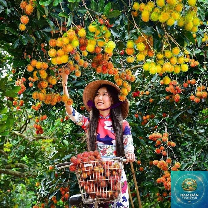 du lịch miệt vườn long an - Hình 3