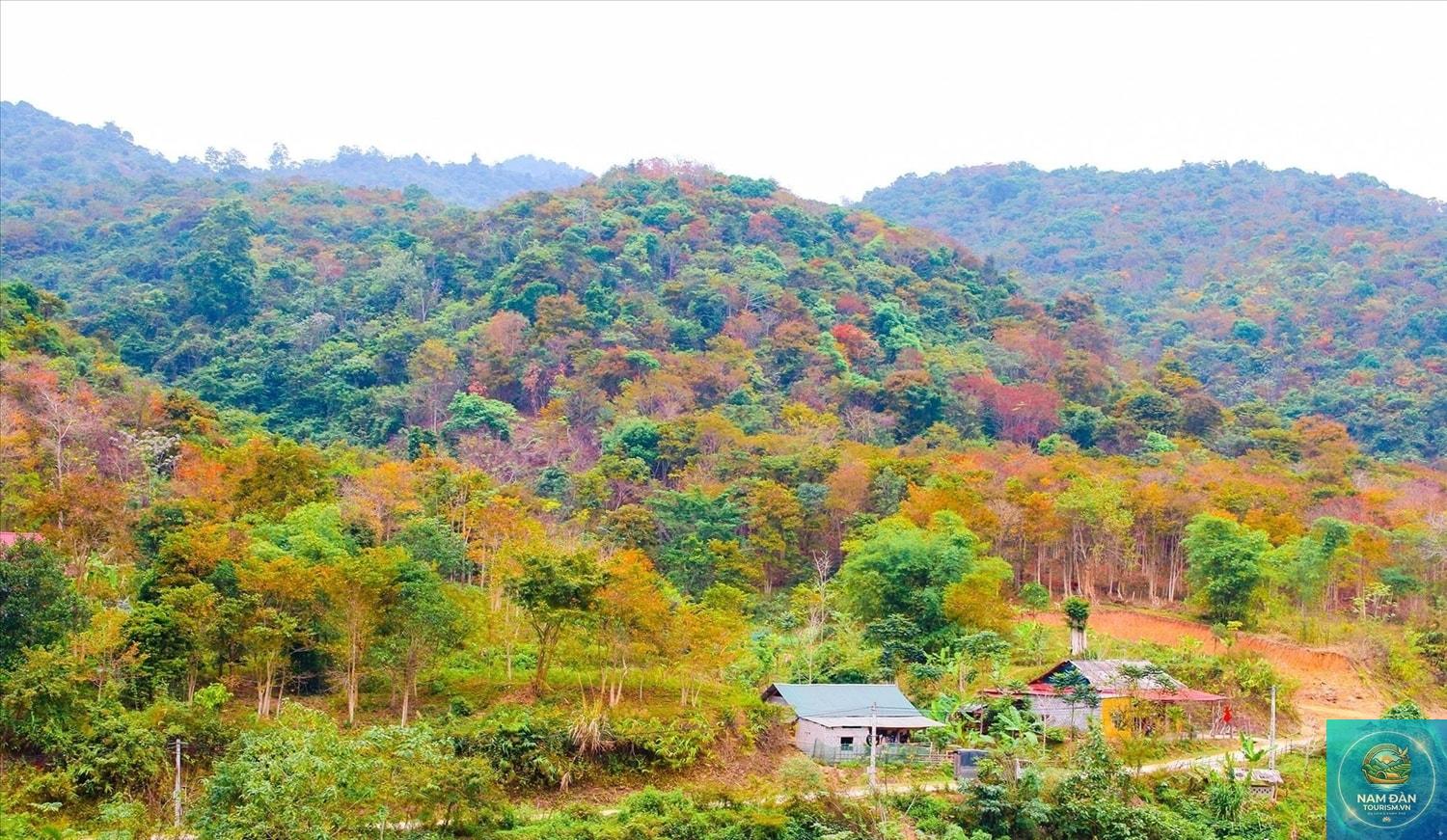 du lịch nghệ an mùa đông có gì - Hình 4