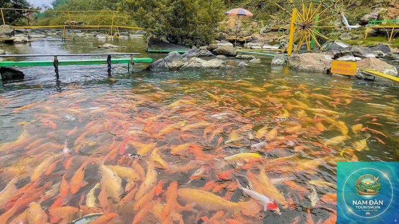 du lịch nghĩa đàn nghệ an - Hình 5
