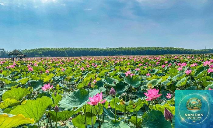 du lịch nghĩa đàn nghệ an