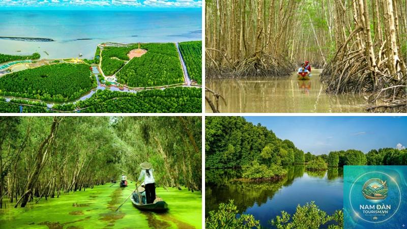 du lịch rừng ngập mặn cà mau - Hình 3