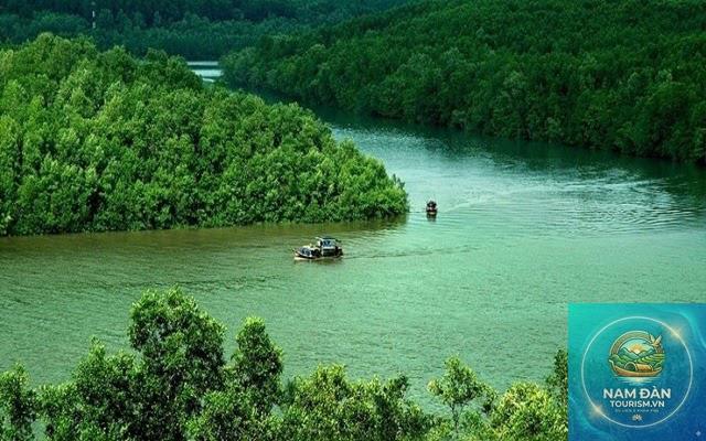du lịch rừng ngập mặn cà mau - Hình 4