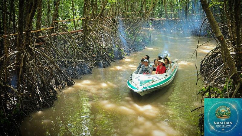 du lịch rừng ngập mặn cà mau