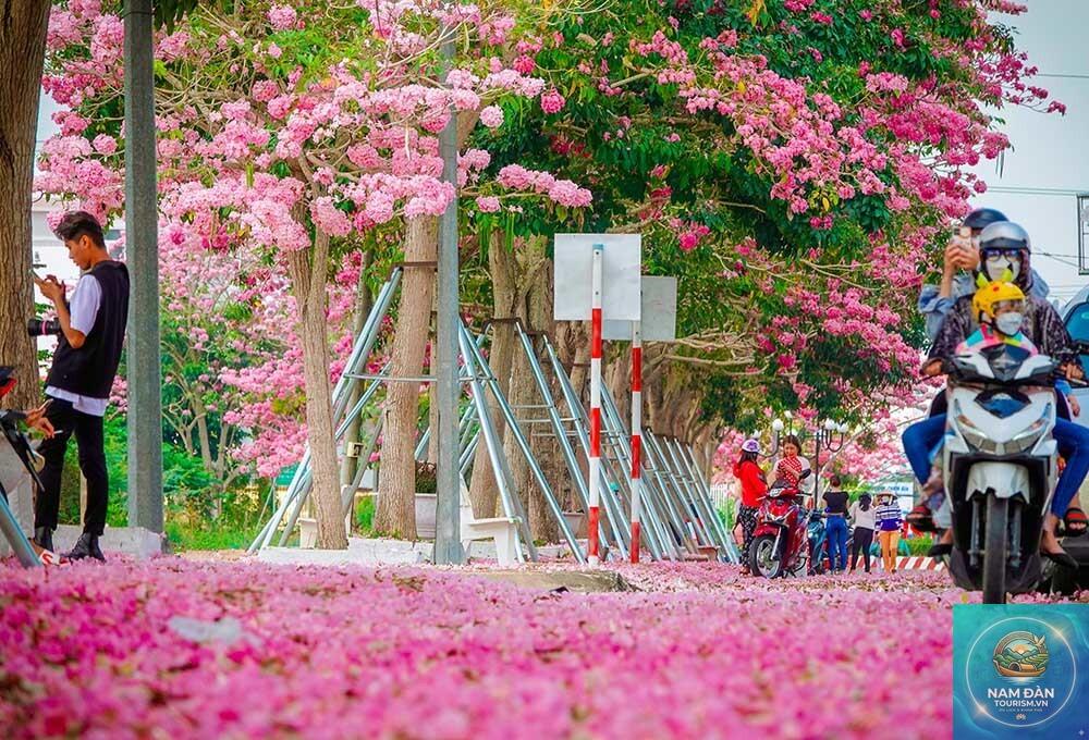 du lịch sóc trăng 2 ngày 1 đêm - Hình 5