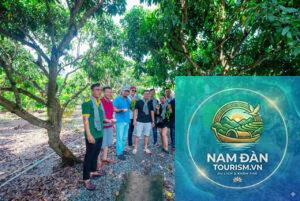 du lịch vĩnh long mùa nào đẹp