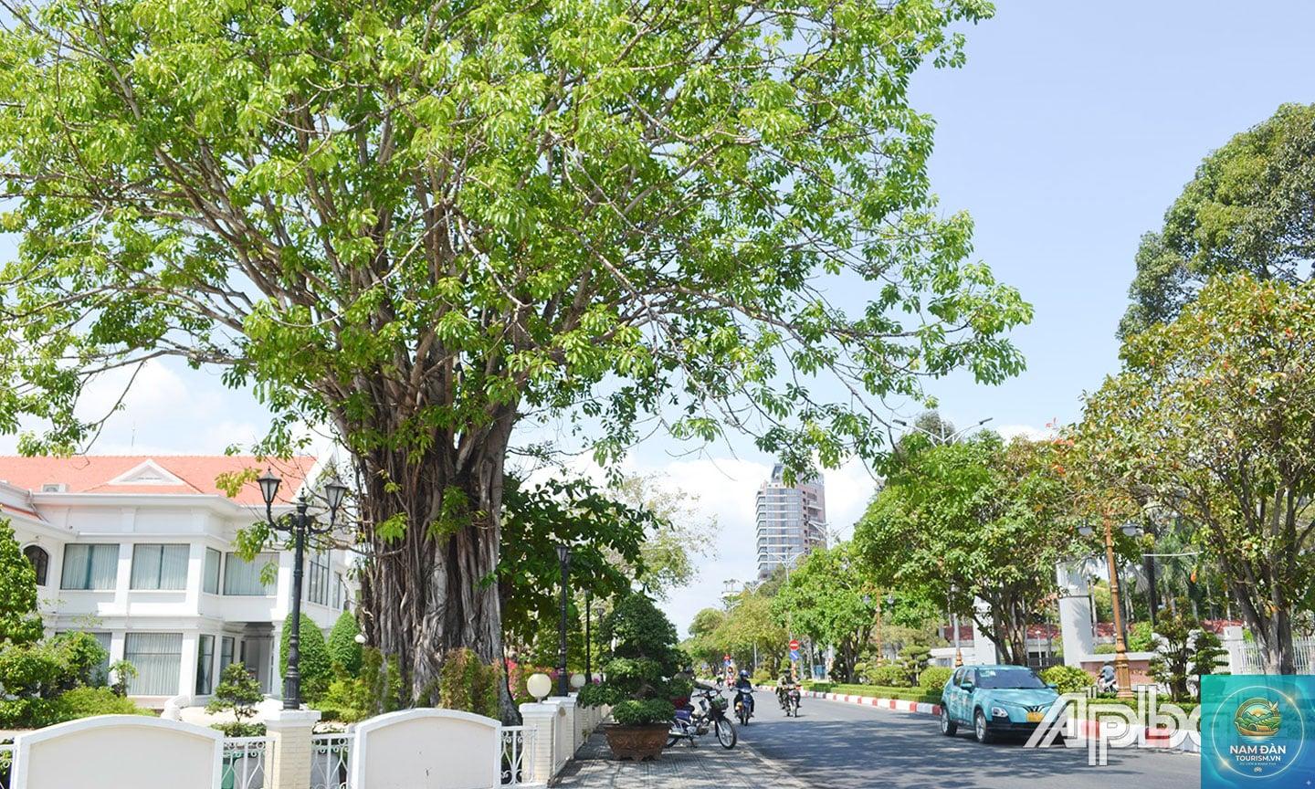 đường 30 tháng 4 mỹ tho - Hình 3