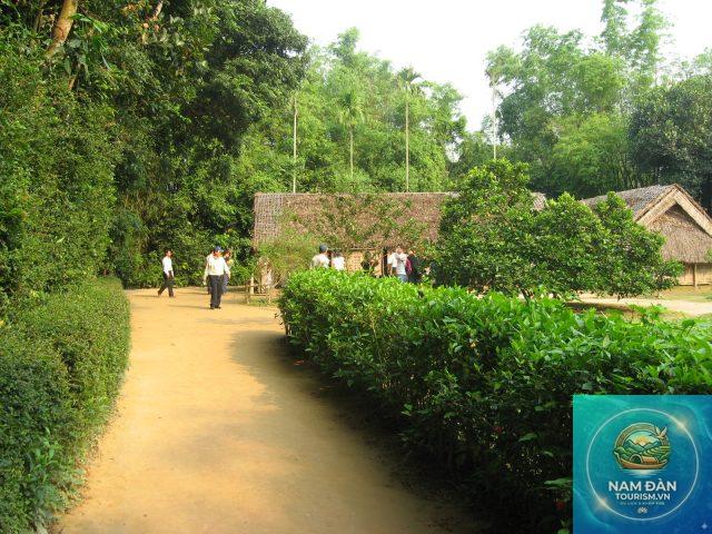 đường đi làng sen nam đàn - Hình 4