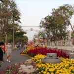 đường hoa tết sa đéc