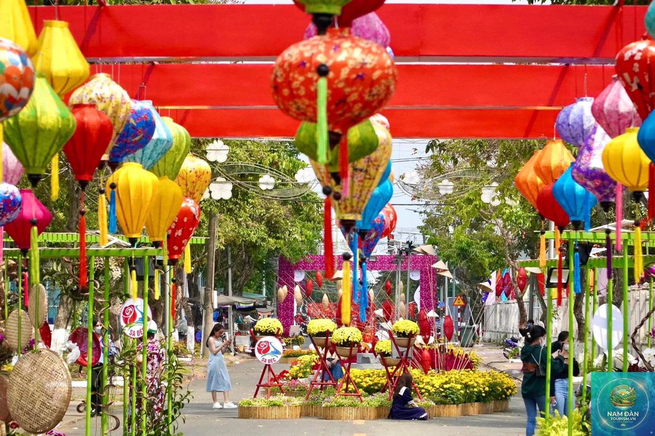 đường hoa tết sa đéc - Hình 2