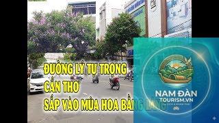 đường lý tự trọng mỹ tho - Hình 3