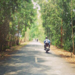đường vào gáo giồng