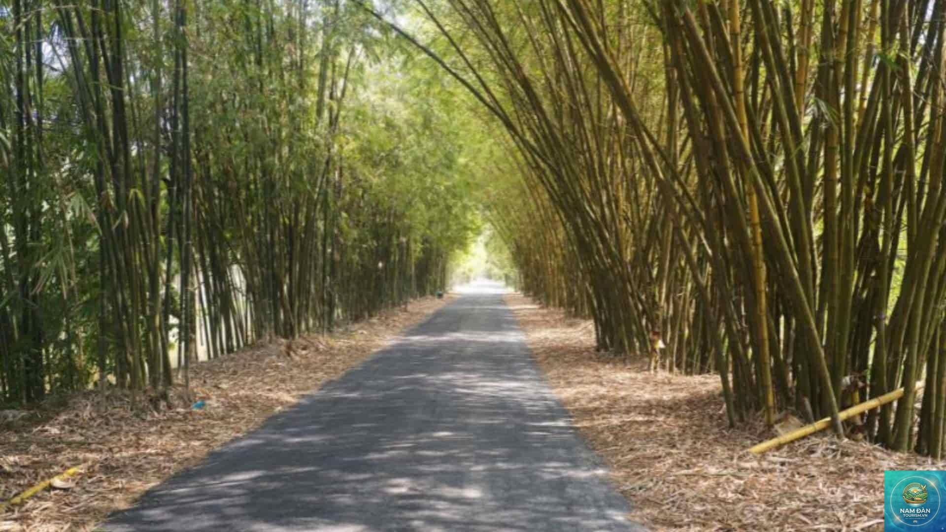 đường vào gáo giồng - Hình 2