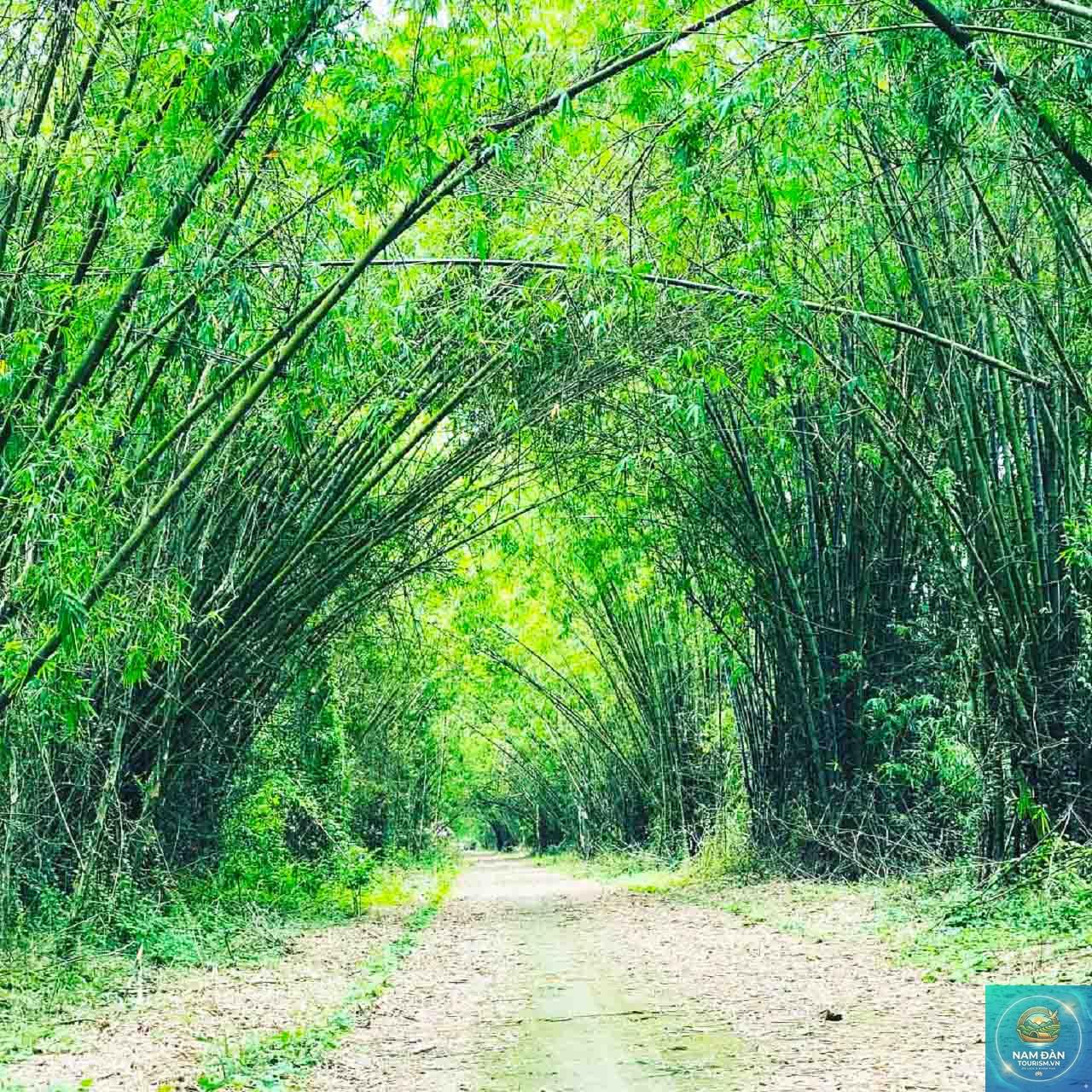 đường vào gáo giồng - Hình 3