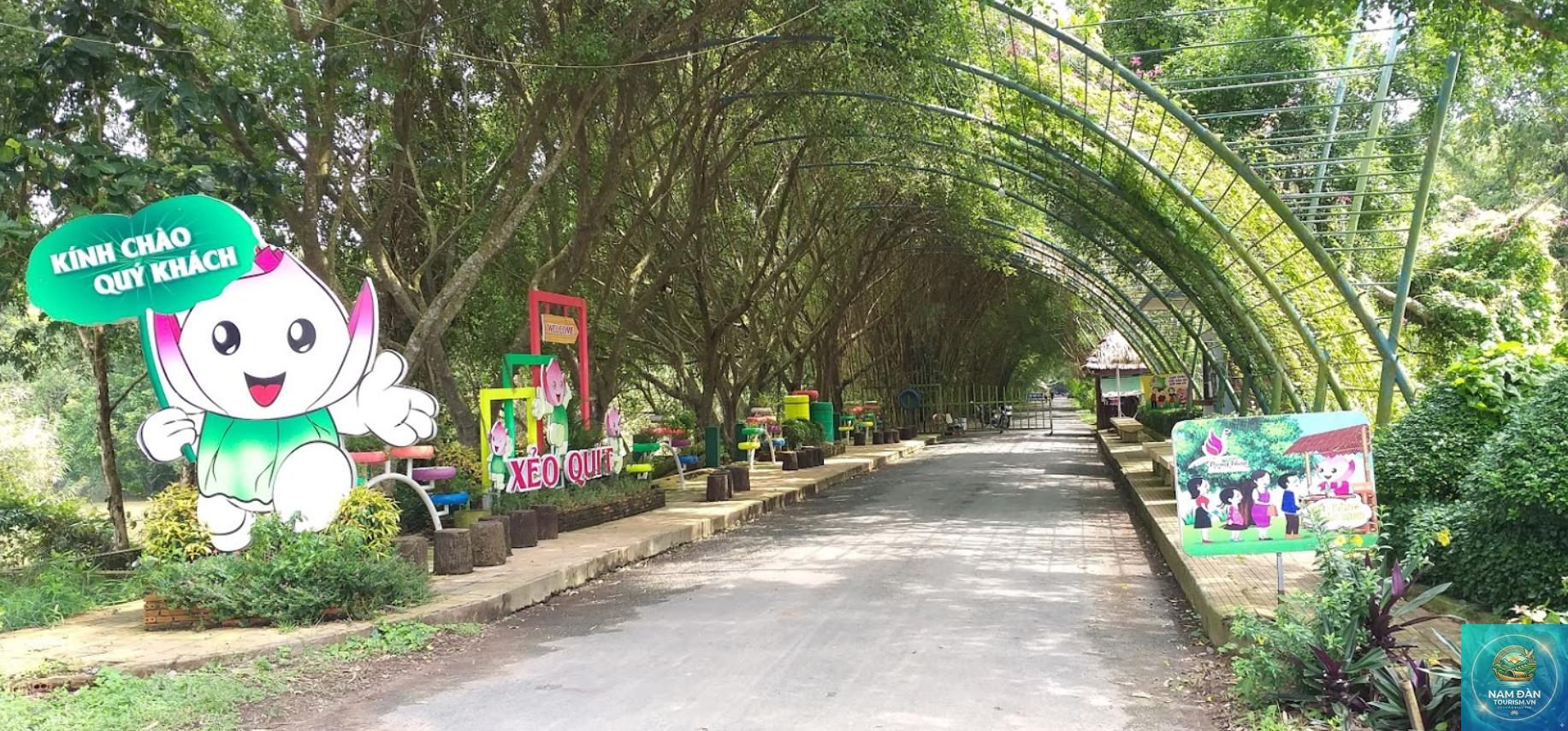 đường vào xẻo quýt - Hình 2
