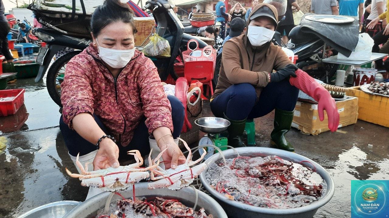 hải sản tươi sống cửa lò - Hình 2