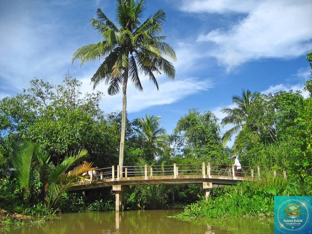 hồ cảnh quan bến tre - Hình 3
