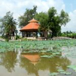 Hồ Sen Vị Thanh – Tinh Hoa Ẩm Thực Việt Từ Hạt Sen Thanh Khiết hồ sen vị thanh