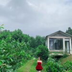Top homestay đẹp ở Vinh Nghệ An cho kỳ nghỉ trọn vẹn và những điều cần biết homestay đẹp ở vinh nghệ an