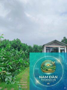 homestay đẹp ở vinh nghệ an