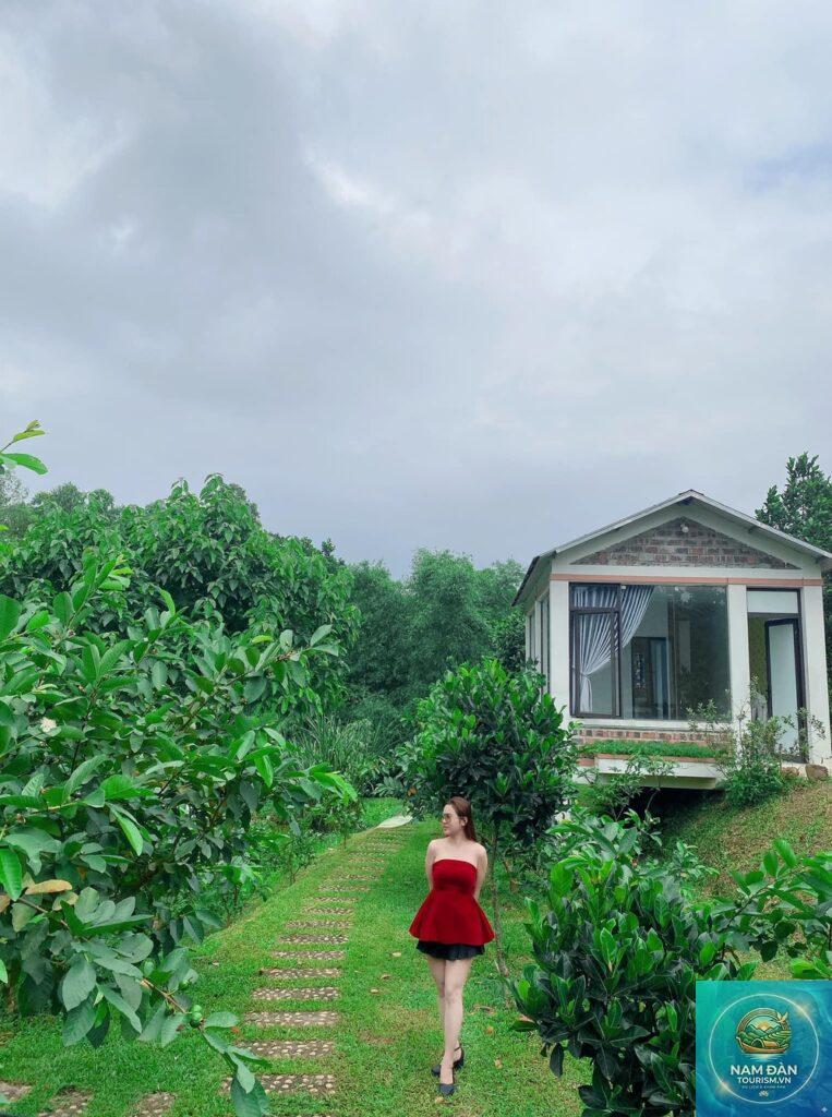 homestay đẹp ở vinh nghệ an