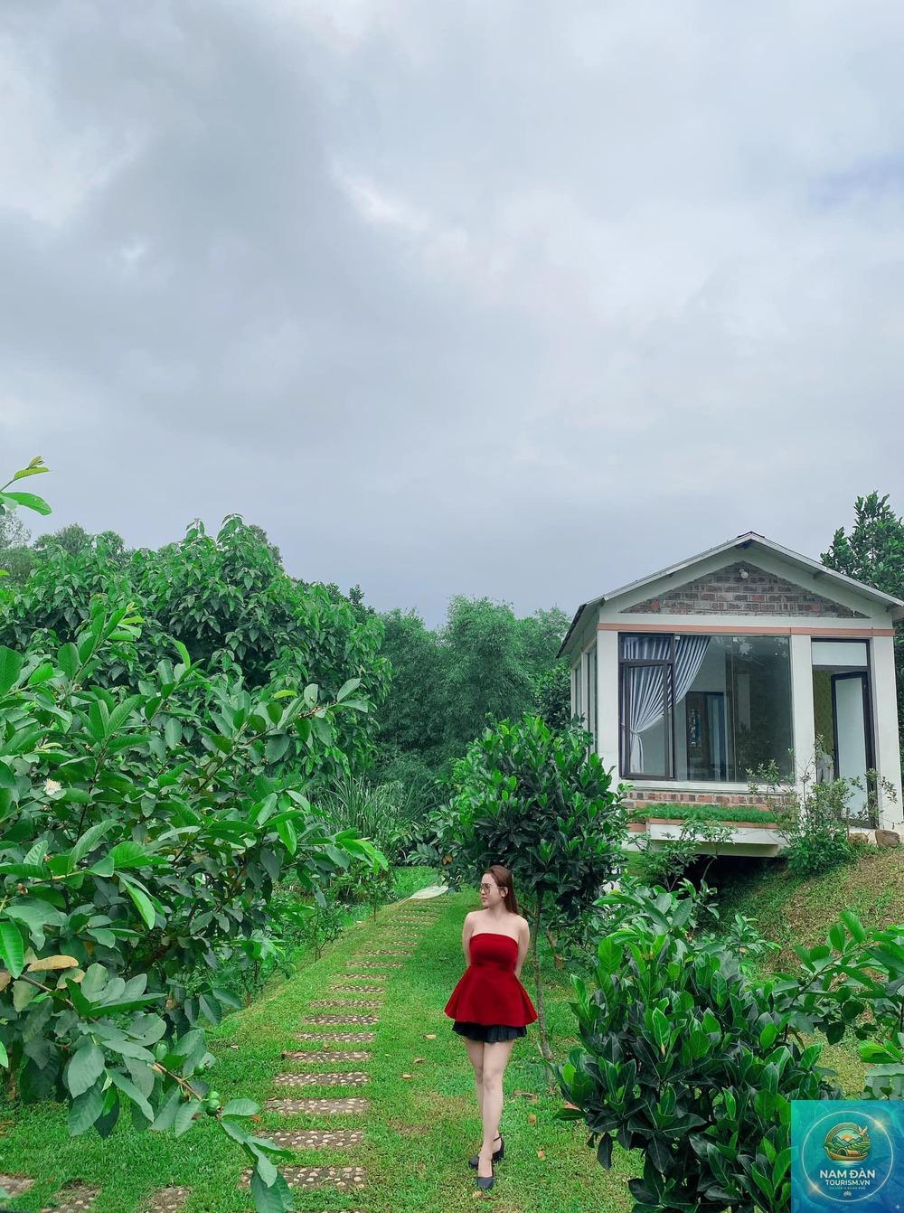 homestay nghệ an đẹp - Hình 4