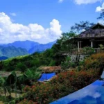 Khám Phá Homestay Pù Mát Nghệ An: Thiên Đường Nghỉ Dưỡng Giữa Đại Ngàn homestay pù mát nghệ an
