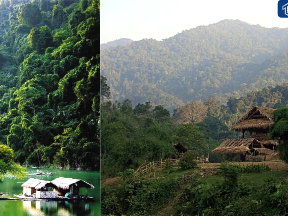 homestay pù mát nghệ an - Hình 4