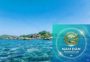 hòn đồi mồi