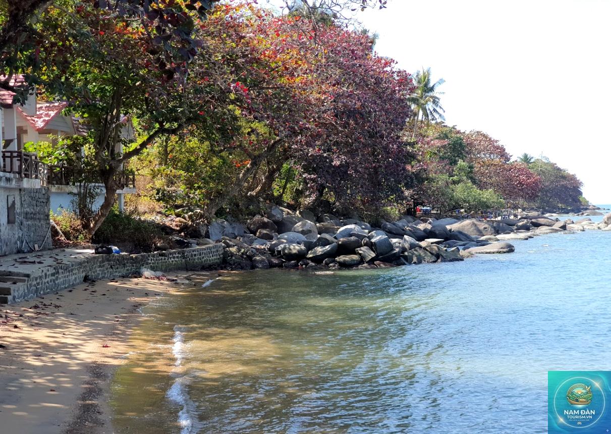 hòn tre kiên giang - Hình 5