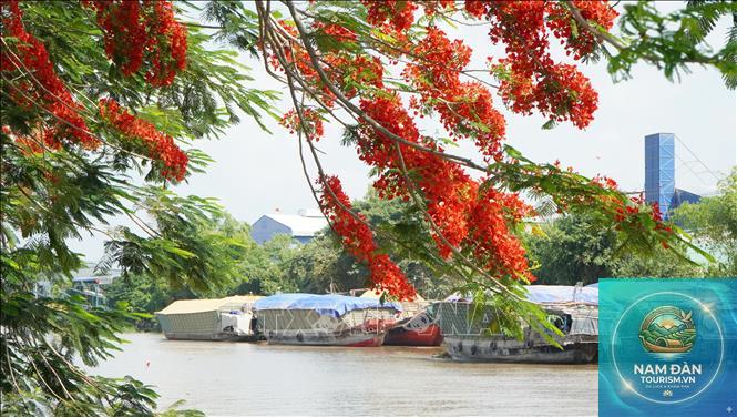 kênh lấp vò - Hình 2