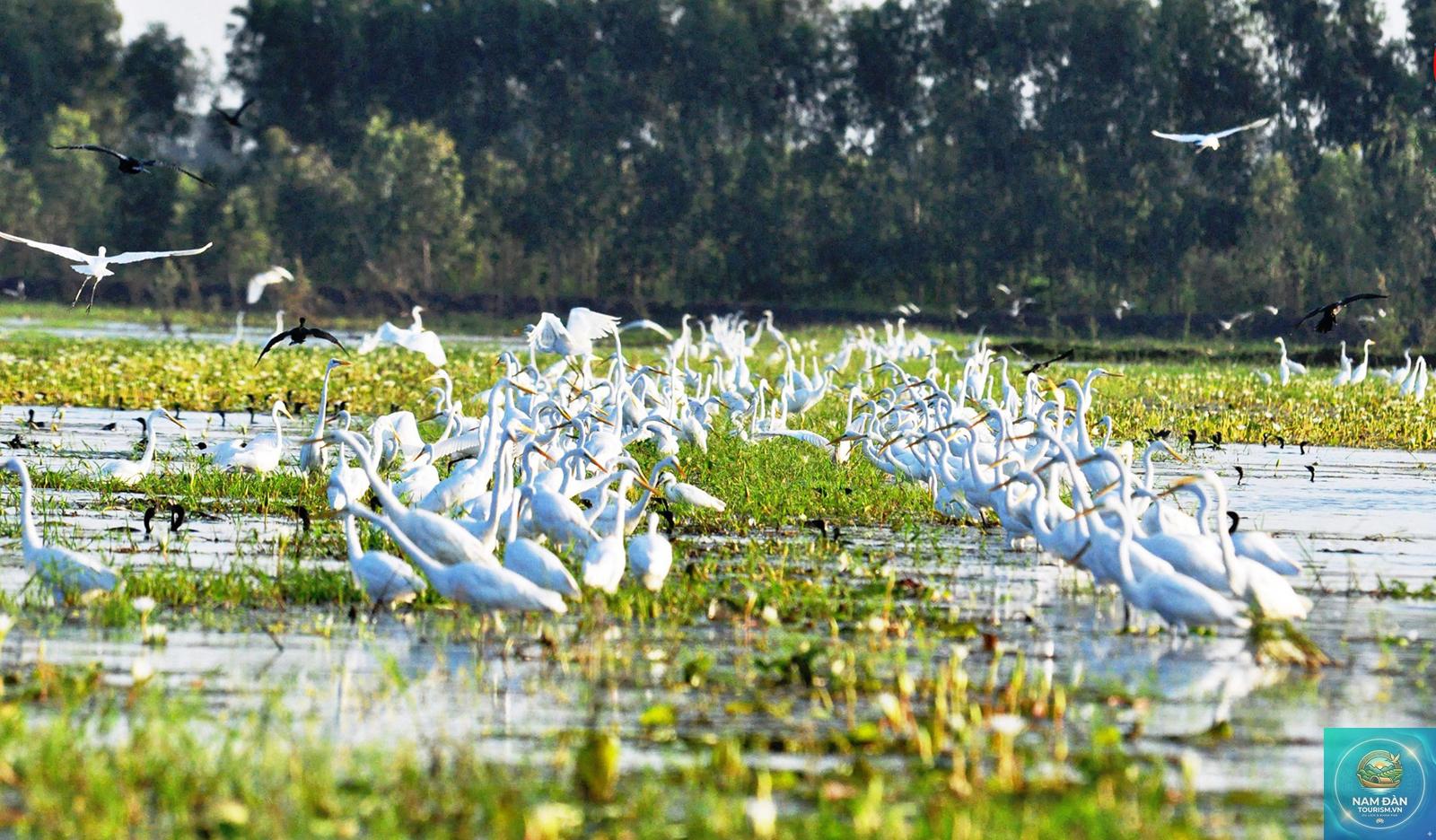khu Ramsar láng sen - Hình 2