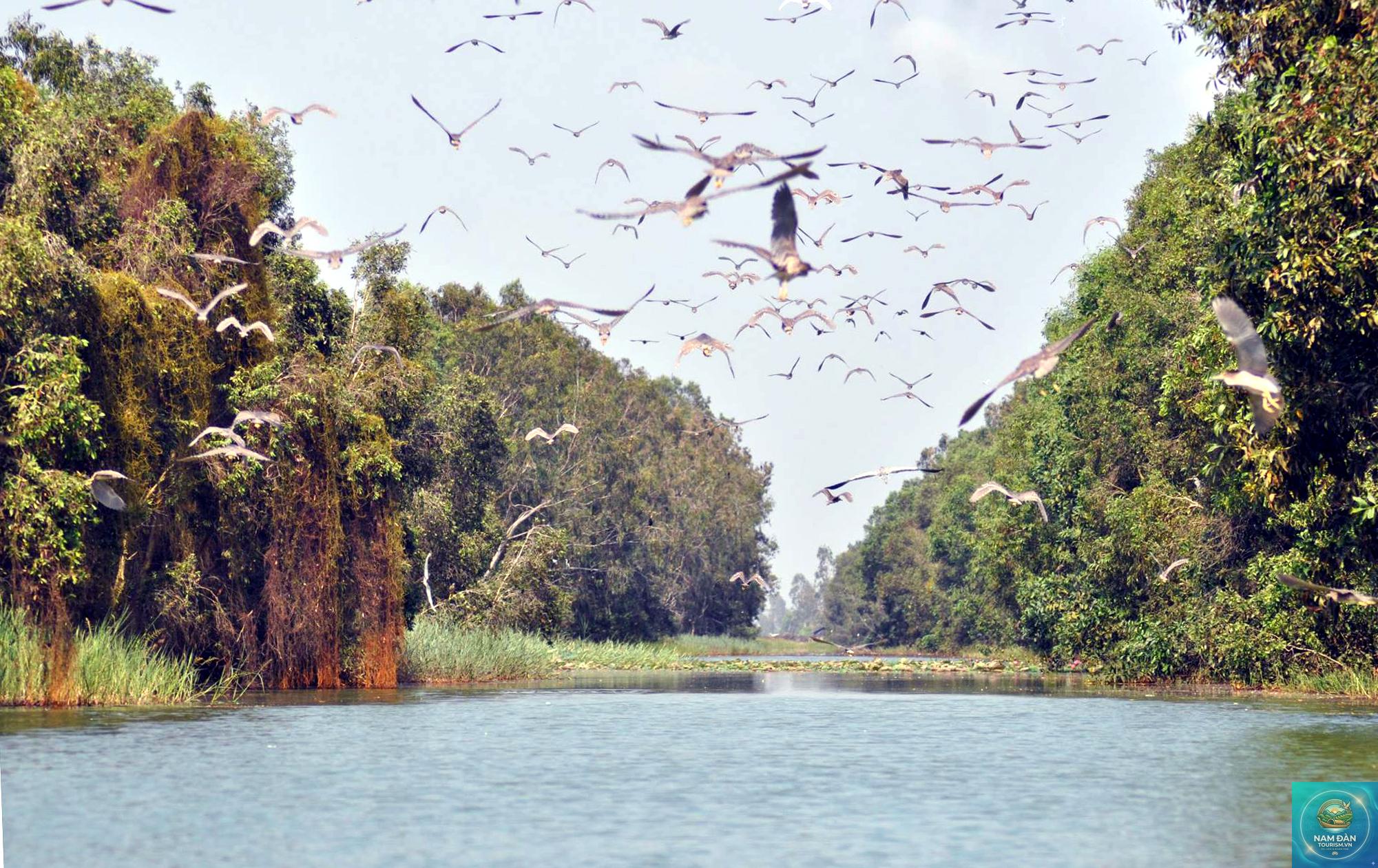 khu Ramsar láng sen - Hình 4