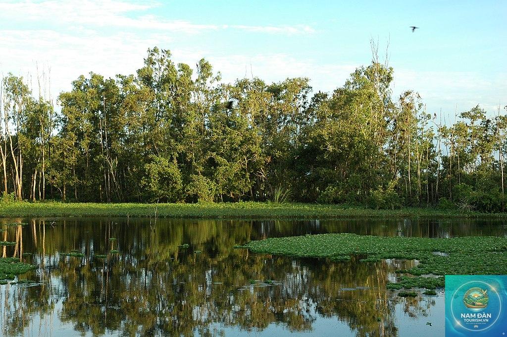 khu Ramsar láng sen - Hình 5