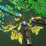 Khu bảo tồn đất ngập nước Láng Sen – Hệ sinh thái độc đáo và điểm du lịch sinh thái hấp dẫn khu bảo tồn đất ngập nước láng sen