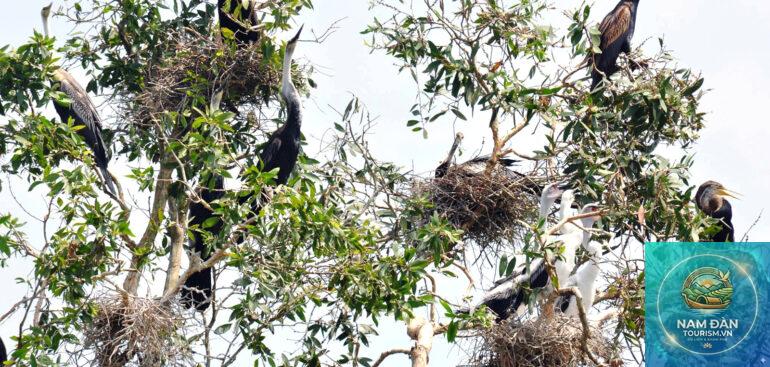 khu bảo tồn đất ngập nước thạnh phú