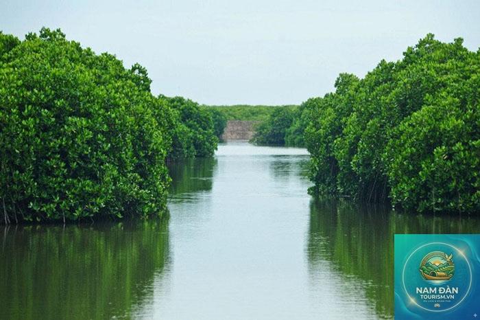 khu bảo tồn thiên nhiên rừng ngập mặn duyên hải - Hình 3