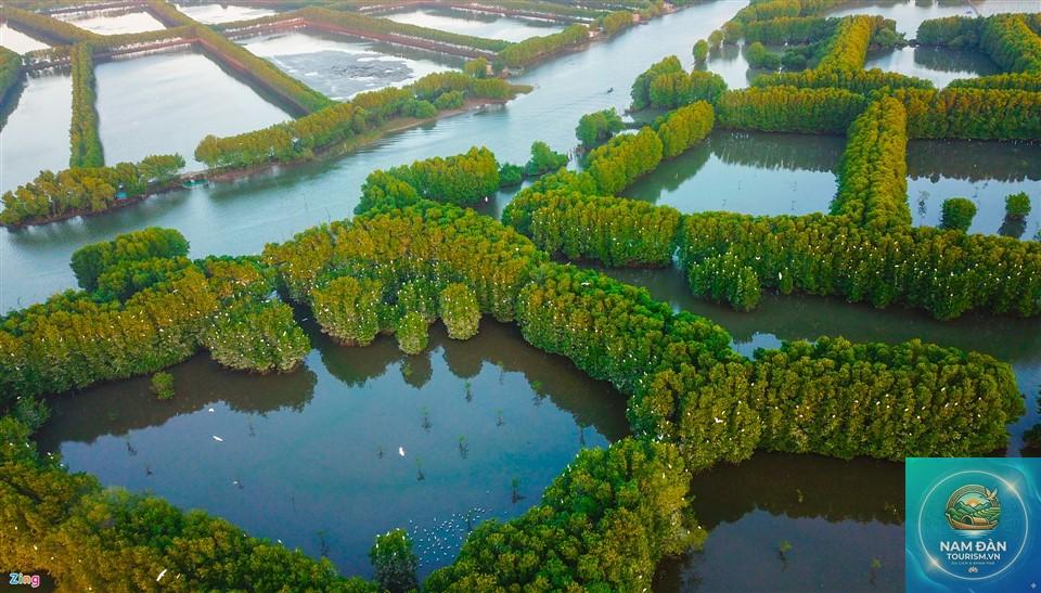 khu du lịch cồn chim - Hình 2