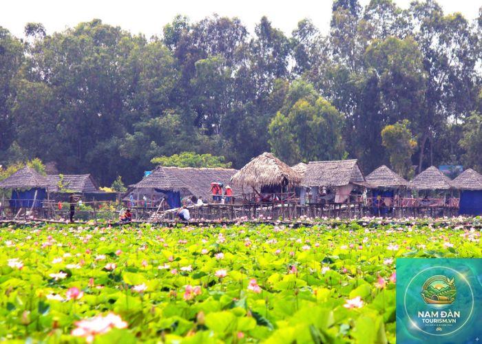 khu du lịch đồng sen tháp mười - Hình 4