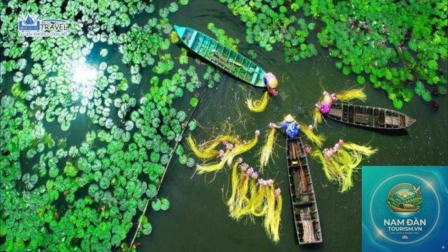 khu du lịch gáo giồng - Hình 3